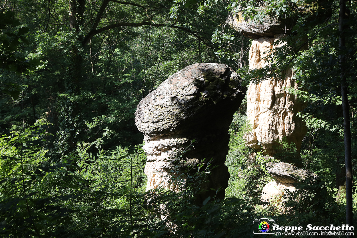 VBS_8937 - I Ciciu del Villar. Villar San Costanzo. Val Maira (Cuneo).jpg